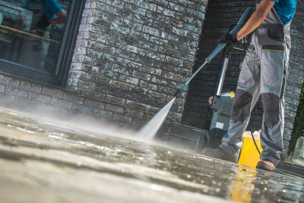 Best Pre-Holiday Cleaning  in Onsted, MI